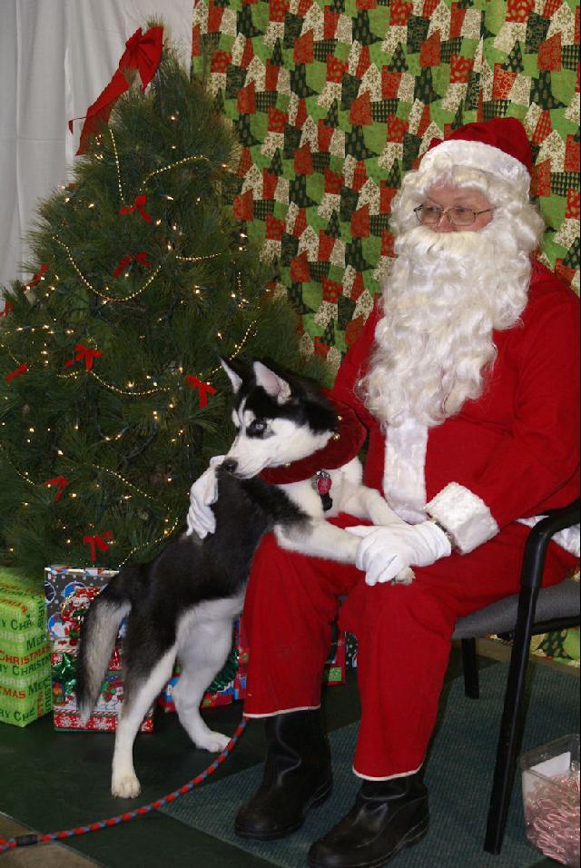 Zoya with Santa